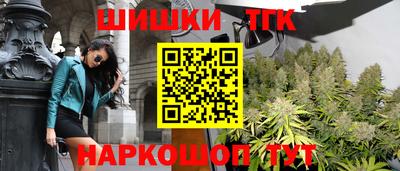 шишки Гусиноозёрск