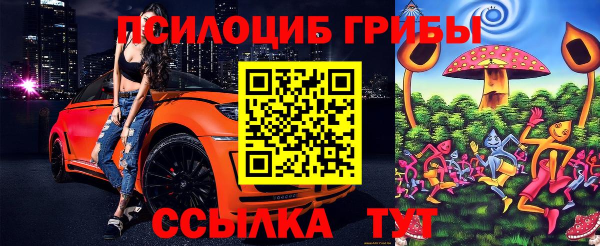 Галлюциногенные грибы Новоалтайск