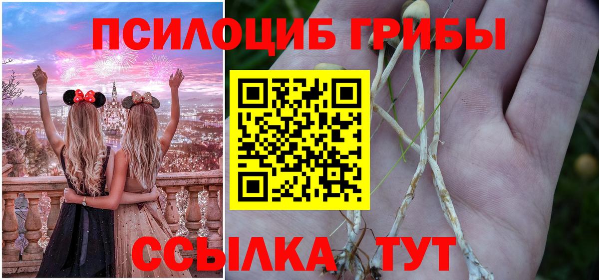 Новоалтайск  Псилоцибиновые грибы GOLDEN TEACHER  Вход с VPN  Галлюциногенные грибы Psilocybe 
